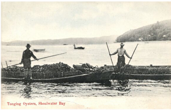 bateaux on Willapa Bay